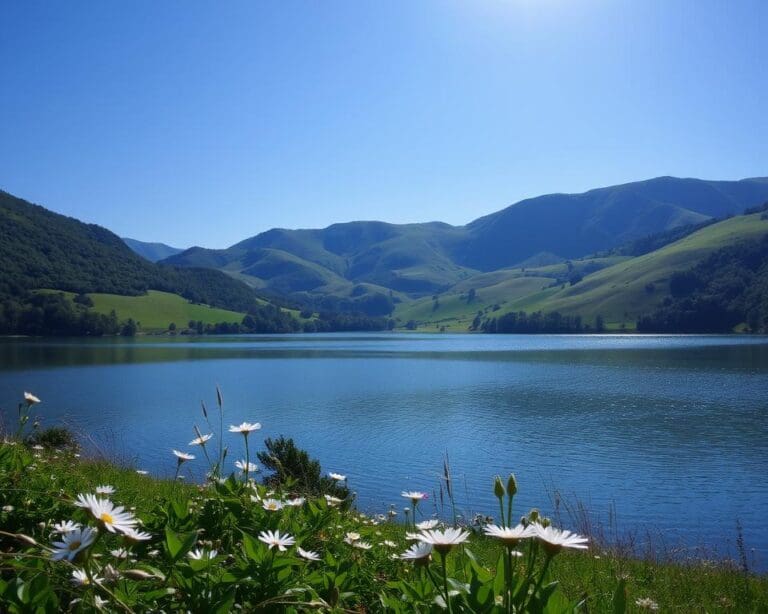 De voordelen van een rustige en ontspannen mindset